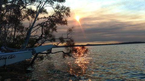 Lake Weyba Noosa Lodge & Kangaroos - Tourism Hervey Bay 40