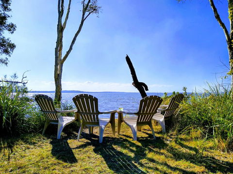 Lake Weyba Noosa Lodge & Kangaroos - Tourism Hervey Bay 44