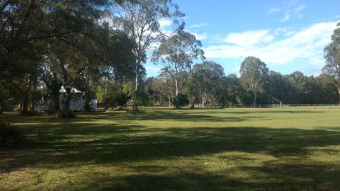 Lake Weyba Noosa Lodge & Kangaroos - Tourism Hervey Bay 23