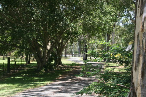 Lake Weyba Noosa Lodge & Kangaroos - Tourism Hervey Bay 34