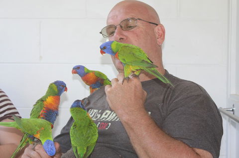 Amaroo On Mandalay, Magnetic Island - Tourism Hervey Bay 33