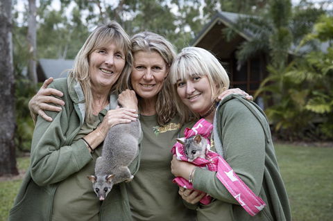 Airlie Beach Eco Cabins - Adults Only - Hervey Bay Accommodation 23