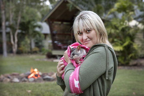 Airlie Beach Eco Cabins - Adults Only - Hervey Bay Accommodation 31