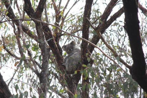 Granite Belt Retreat And Brewery - Tourism Hervey Bay 20