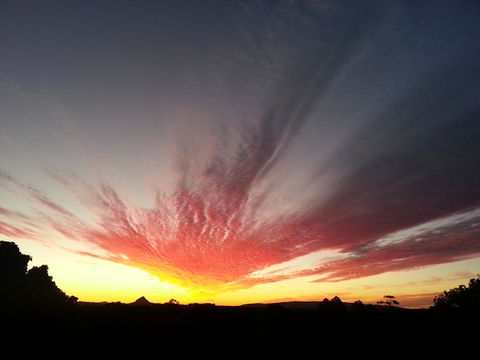 Ivory Palms Resort Noosa - Hervey Bay Accommodation 13