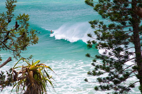Rainbow Bay Backpackers - Hervey Bay Accommodation 15