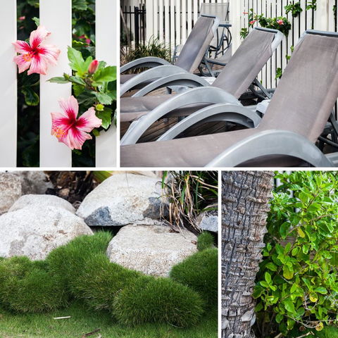 Coolum Caprice - Hervey Bay Accommodation 22