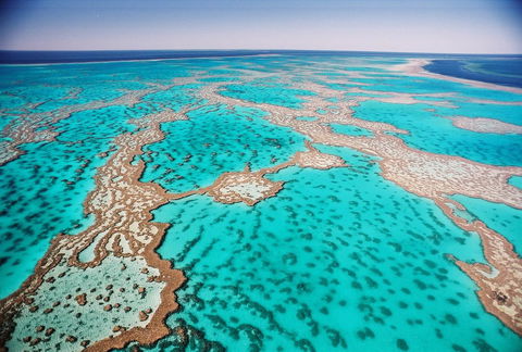 Poinciana 112 - Hervey Bay Accommodation 20