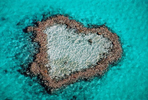 Poinciana 112 - Hervey Bay Accommodation 21