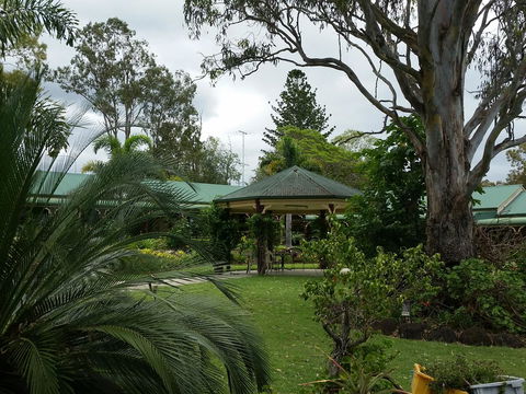 The Bearded Dragon Boutique Hotel - Hervey Bay Accommodation 28