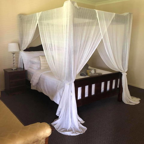 The Bearded Dragon Boutique Hotel - Hervey Bay Accommodation 1