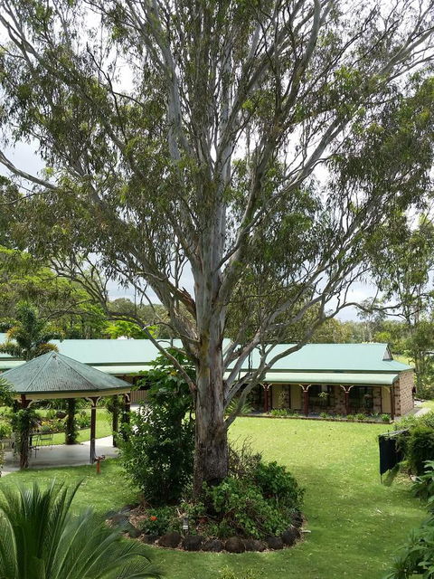 The Bearded Dragon Boutique Hotel - Hervey Bay Accommodation 32