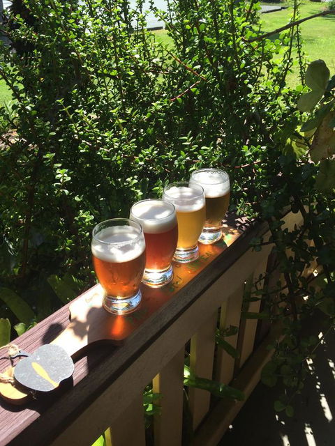 The Bearded Dragon Boutique Hotel - Hervey Bay Accommodation 31