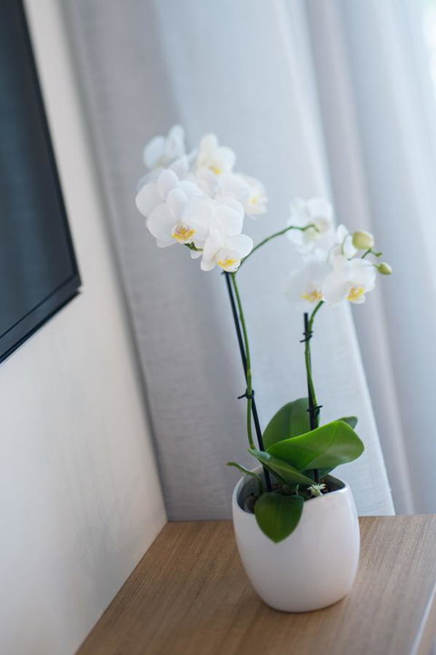 Heart Hotel And Gallery Whitsundays - Hervey Bay Accommodation 28