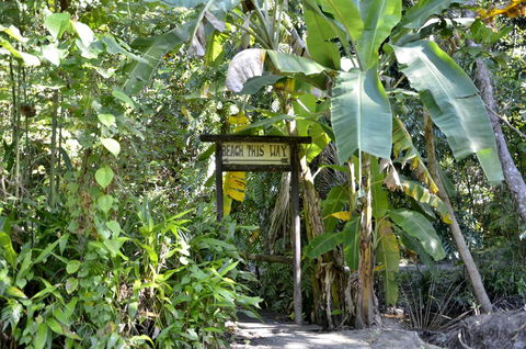 PK\'s Jungle Village - Hervey Bay Accommodation 23