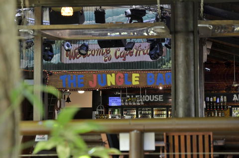 PK\'s Jungle Village - Hervey Bay Accommodation 20