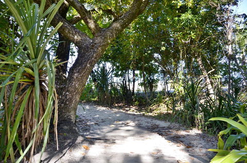 PK\'s Jungle Village - Hervey Bay Accommodation 28