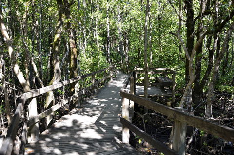 PK\'s Jungle Village - Hervey Bay Accommodation 32