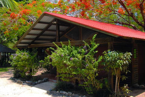 PK\'s Jungle Village - Hervey Bay Accommodation 10