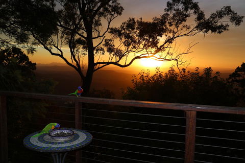 The Polish Place - Hervey Bay Accommodation 17