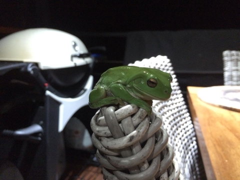 Bed & Breakfast 1 Bedroom Guest House - Hervey Bay Accommodation 43