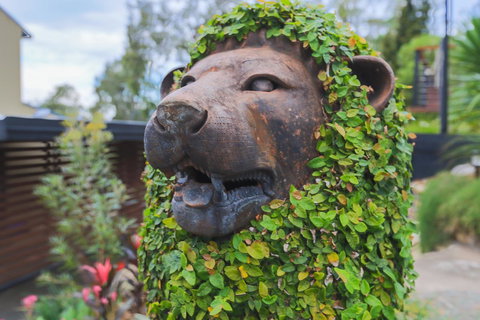 Bed & Breakfast 1 Bedroom Guest House - Hervey Bay Accommodation 44