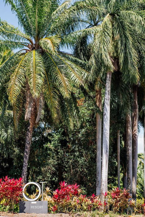 Oaks Port Douglas Resort - Hervey Bay Accommodation 40
