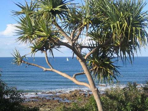Headland Tropicana Resort - Hervey Bay Accommodation 39