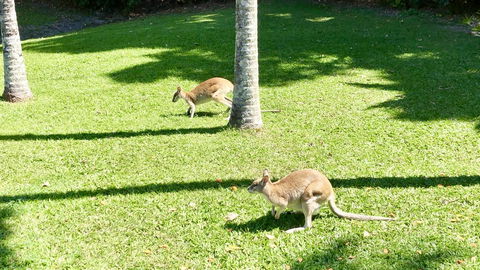Argosy On The Beach - Tourism Hervey Bay 15
