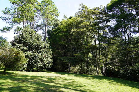 McCarthy Grove Maleny - Tourism Hervey Bay 2