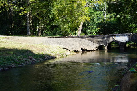 McCarthy Grove Maleny - Tourism Hervey Bay 1