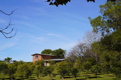 McCarthy Grove Maleny - Tourism Hervey Bay 4