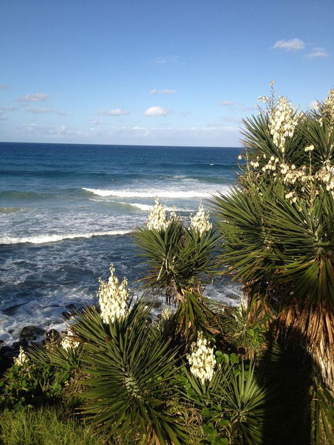 Oceania On Burleigh Beach - Hervey Bay Accommodation 23