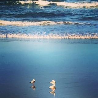 Oceania On Burleigh Beach - Hervey Bay Accommodation 40