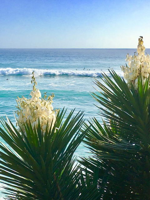 Oceania On Burleigh Beach - Hervey Bay Accommodation 21