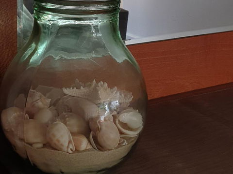 Oceania On Burleigh Beach - Hervey Bay Accommodation 30