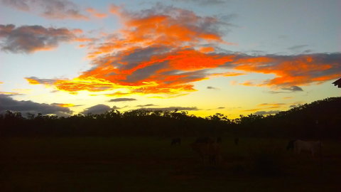 Ironbark House - Hervey Bay Accommodation 32