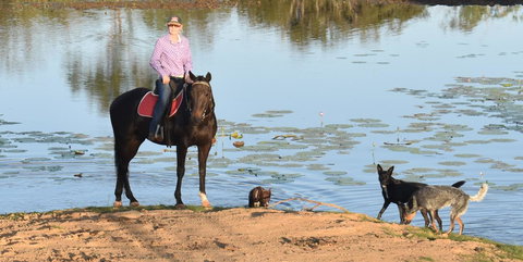 Ironbark House - Hervey Bay Accommodation 39