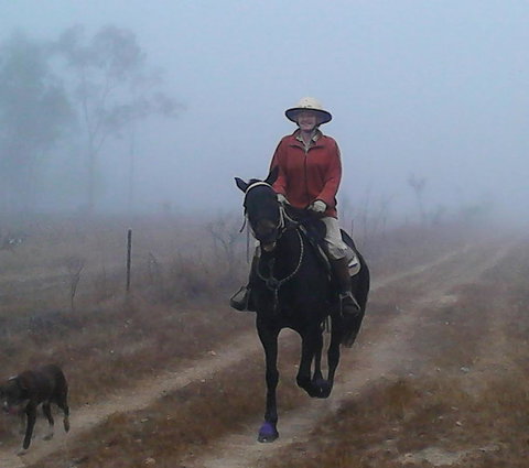 Ironbark House - Hervey Bay Accommodation 37