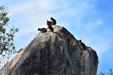 Ironbark House - Hervey Bay Accommodation 38