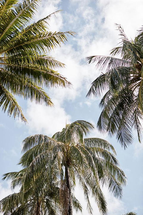 Novotel Cairns Oasis Resort - Hervey Bay Accommodation 9