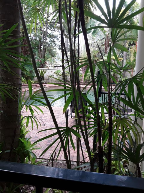 Jackies Holiday Apartment - Hervey Bay Accommodation 13