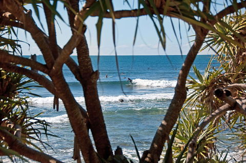 The Norfolks On Moffat Beach - Hervey Bay Accommodation 7