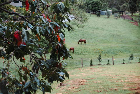 La Casita Banca - Luxury Holiday Home - Hervey Bay Accommodation 3