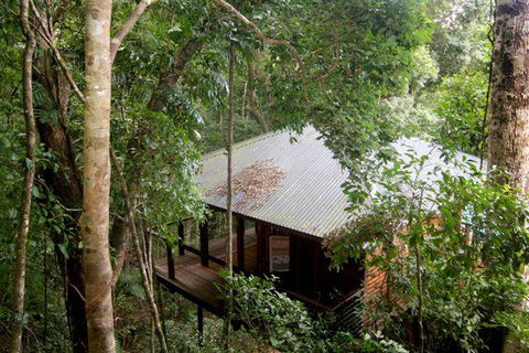 Cairns Rainforest Retreat - Hervey Bay Accommodation 0