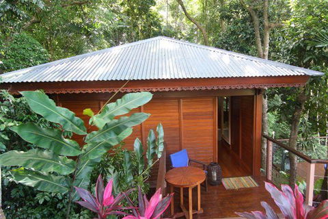 Cairns Rainforest Retreat - Hervey Bay Accommodation 5