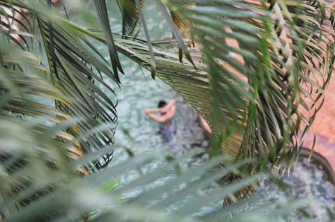 Coral Tree Inn - Hervey Bay Accommodation 36