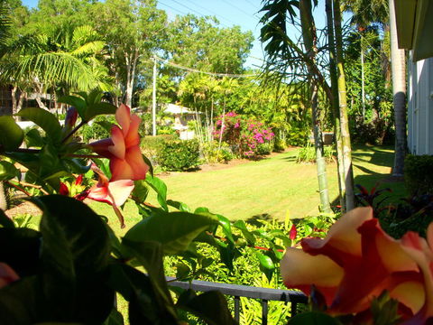Clifton Sands Holiday Units - Tourism Hervey Bay 38