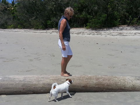 Clifton Sands Holiday Units - Tourism Hervey Bay 39