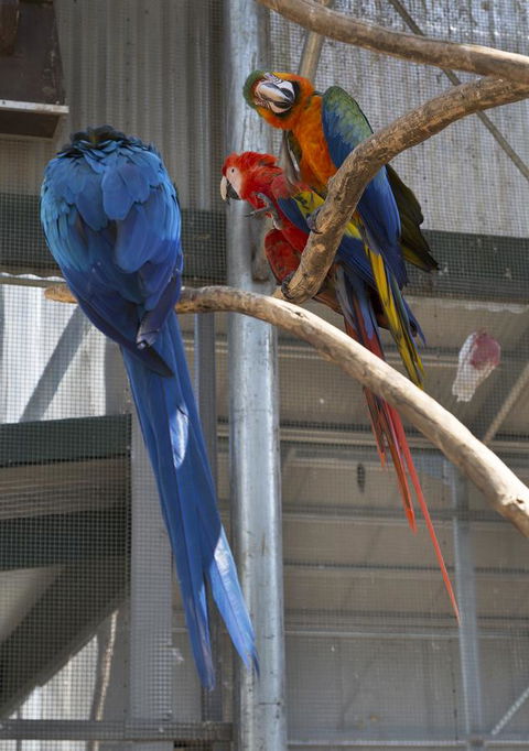 Bower 63 - Tourism Hervey Bay 35